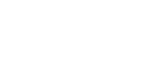 wordpress-white